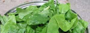 Centre for Sight Eye Health Spinach Leaves